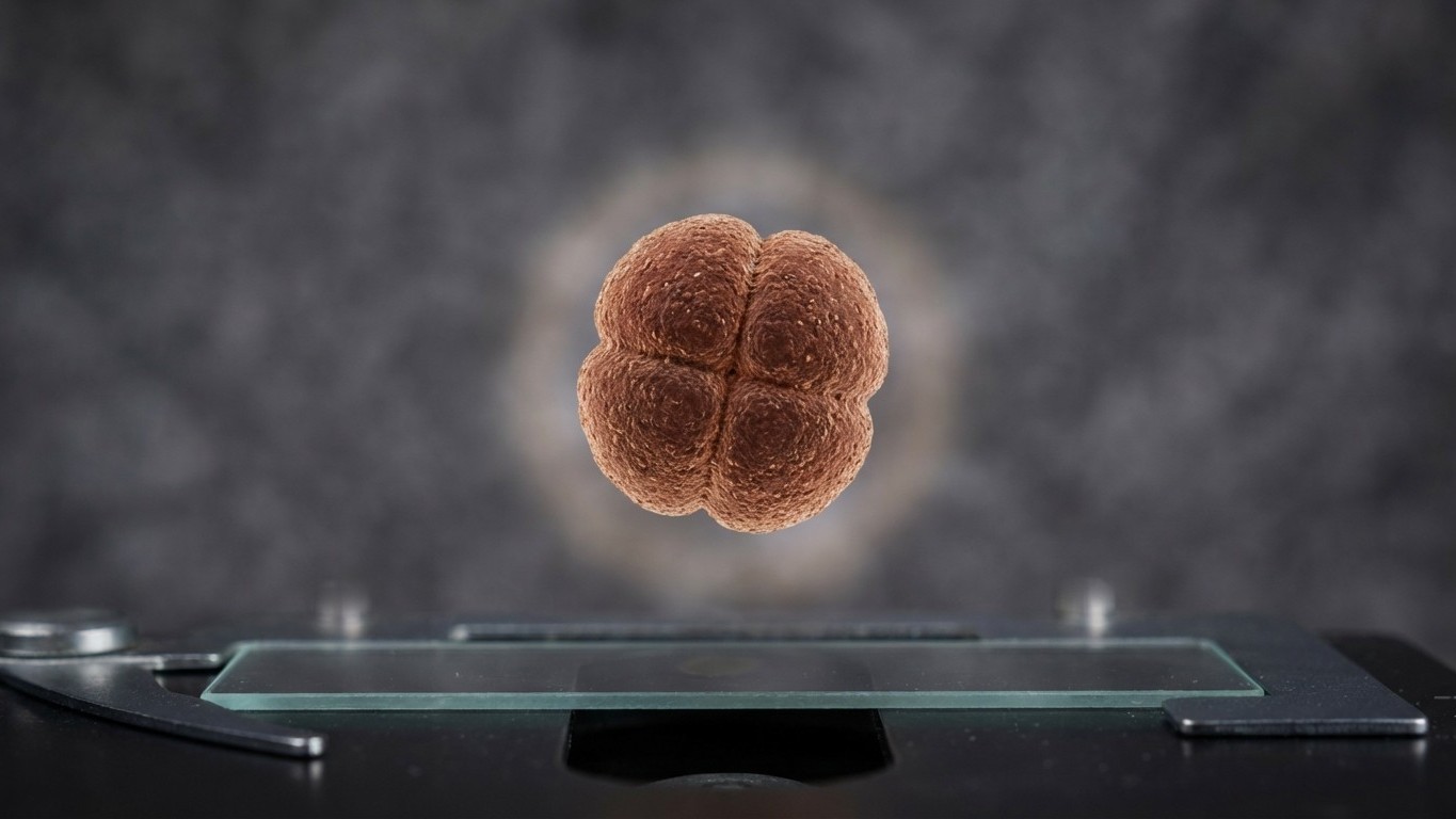 Ce micro-organisme presque indestructible : pourquoi la science mise sur lui pour soigner demain (et protéger la planète)