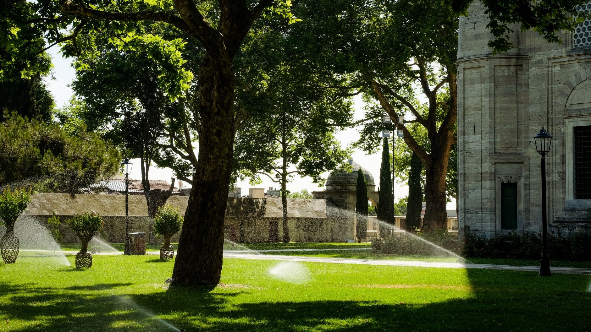 J'ai laissé le programmateur connecté gérer le jardin pendant mes vacances : au retour, la terre était sèche depuis onze j...